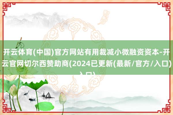 开云体育(中国)官方网站有用裁减小微融资资本-开云官网切尔西赞助商(2024已更新(最新/官方/入口)