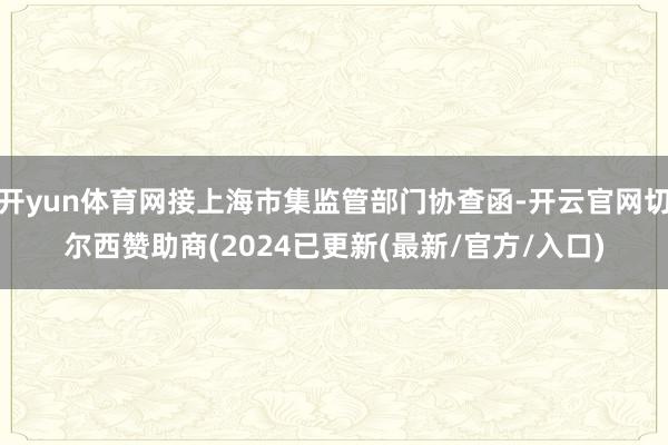 开yun体育网接上海市集监管部门协查函-开云官网切尔西赞助商(2024已更新(最新/官方/入口)