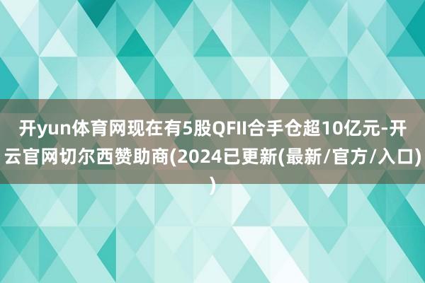 开yun体育网现在有5股QFII合手仓超10亿元-开云官网切尔西赞助商(2024已更新(最新/官方/入口)
