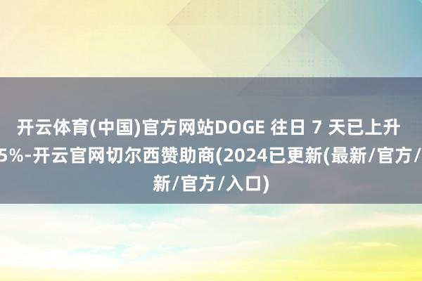 开云体育(中国)官方网站DOGE 往日 7 天已上升 118.5%-开云官网切尔西赞助商(2024已更新(最新/官方/入口)