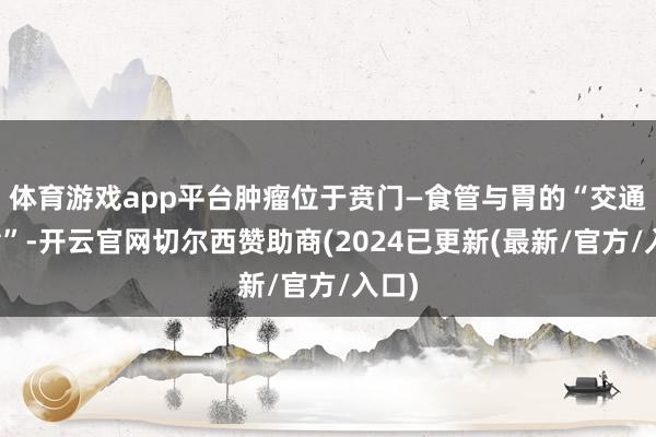 体育游戏app平台肿瘤位于贲门—食管与胃的“交通要津”-开云官网切尔西赞助商(2024已更新(最新/官方/入口)