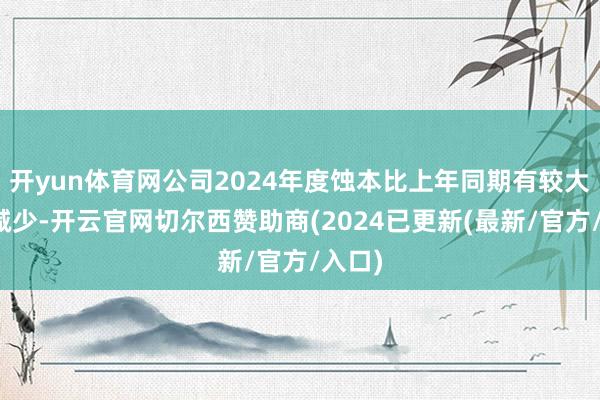 开yun体育网公司2024年度蚀本比上年同期有较大幅度减少-开云官网切尔西赞助商(2024已更新(最新/官方/入口)