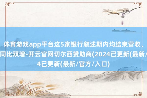 体育游戏app平台这5家银行叙述期内均结束营收、归母净利润同比双增-开云官网切尔西赞助商(2024已更新(最新/官方/入口)